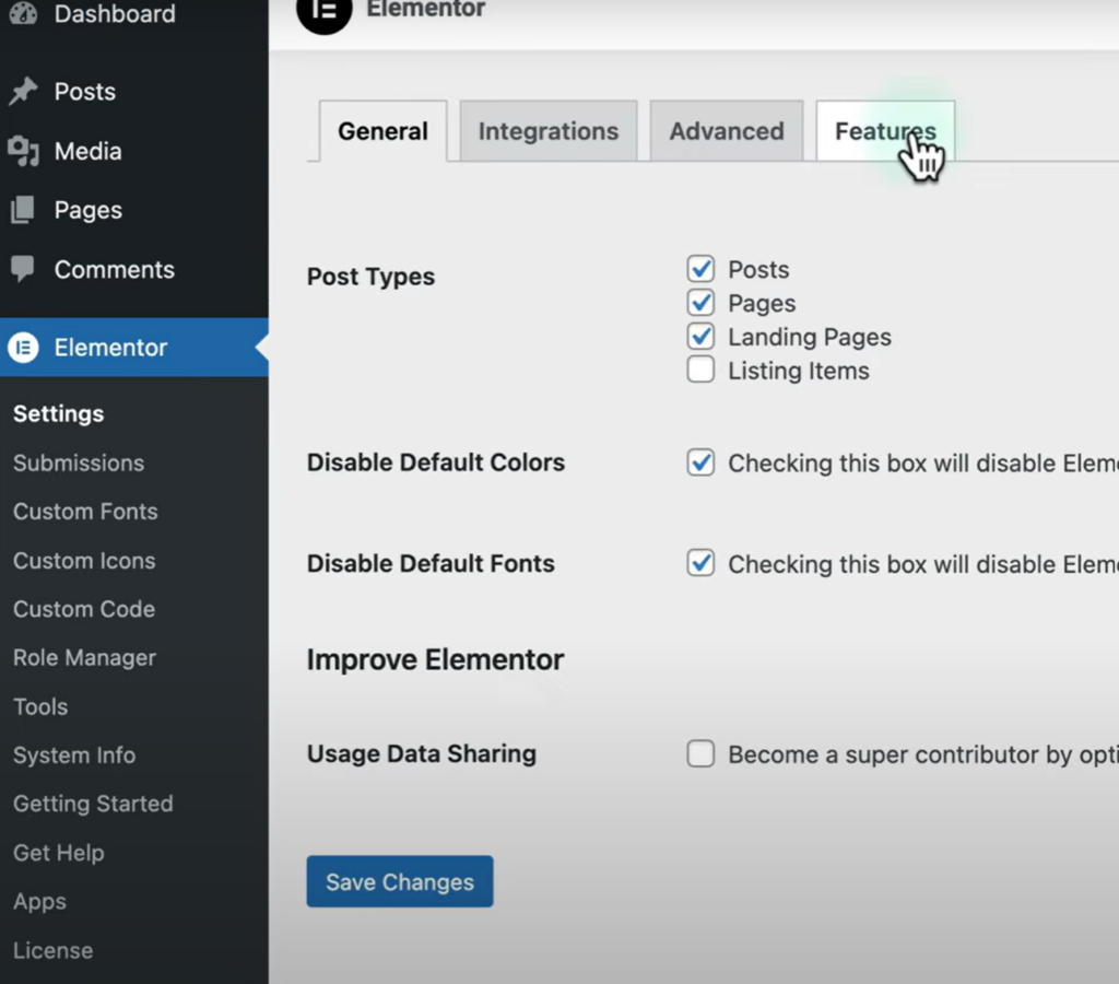 Elementor settings and features