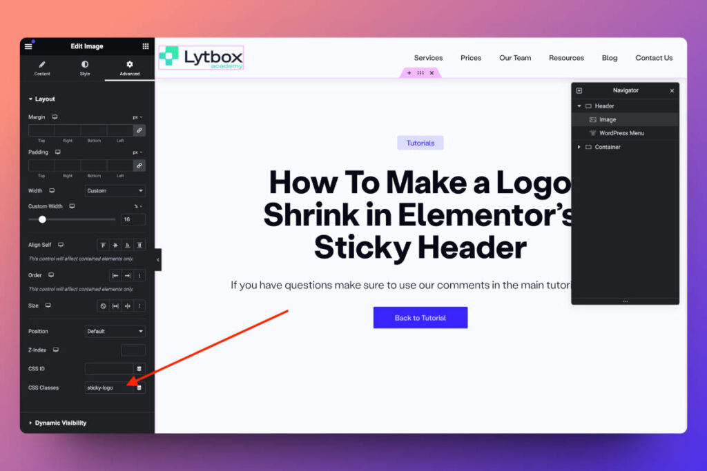 Screenshot of a web design tutorial on logo shrinking.