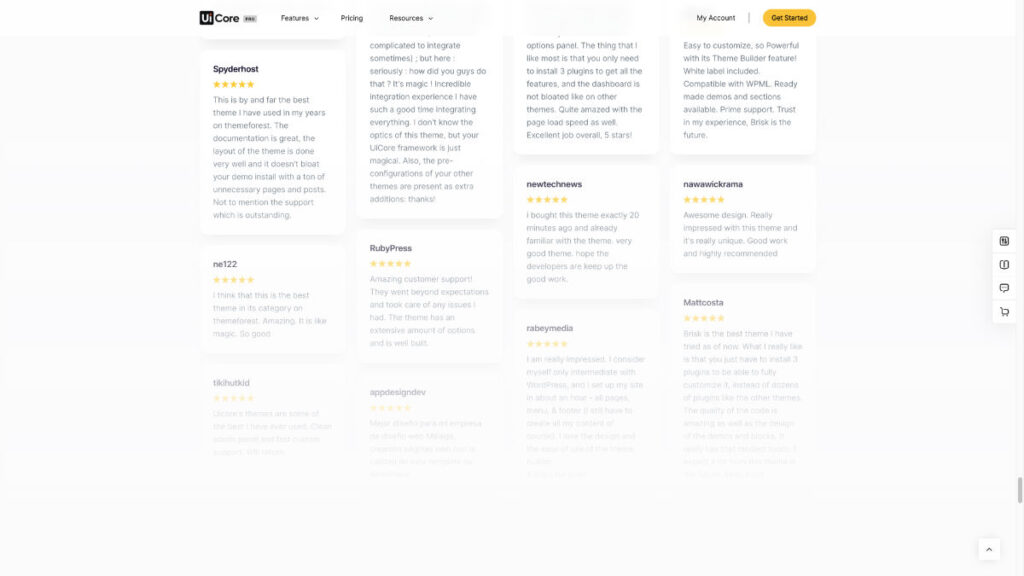 Screenshot of customer reviews on software theme website